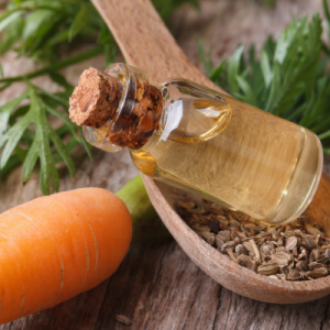 Carrot Seed Oil