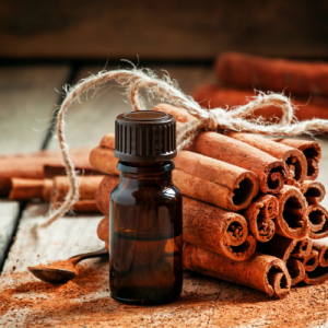Cinnamon Bark Oil