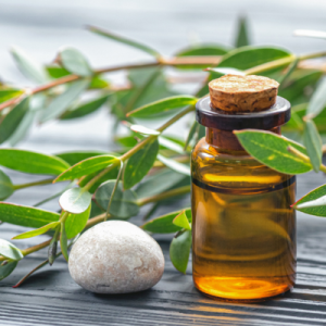 Eucalyptus Oil