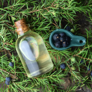 Juniper Berry Oil