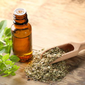 Oregano Oil