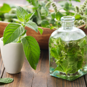 Spearmint Oil L-Carvon 60%