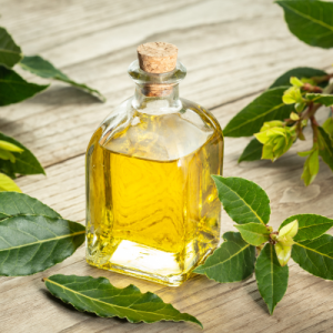 Bay Leaf Oil